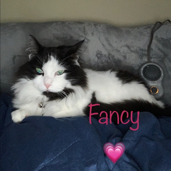 Meet your Posher, Kim - Picture 11 of 16